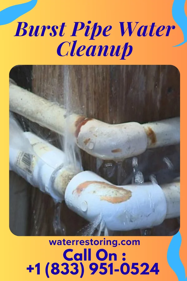 Burst Pipe Water Cleanup in Chadbourn, NC