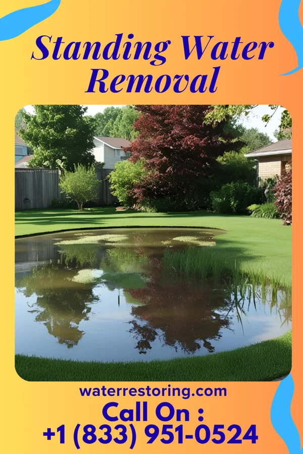Standing Water Removal in Chadbourn, NC